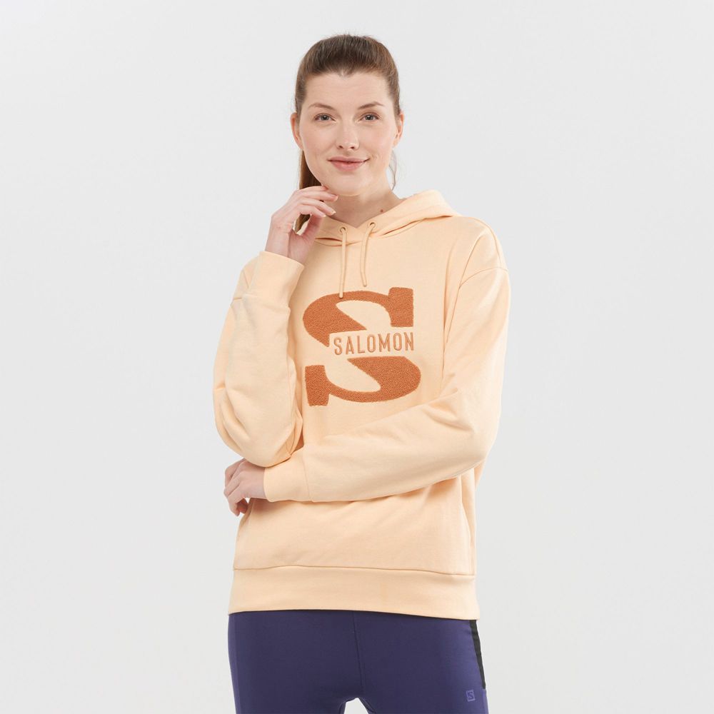 Salomon OUTLIFE LOGO SUMMER - Womens Hooded Pullover - Beige - NZ (39501-QLWE)